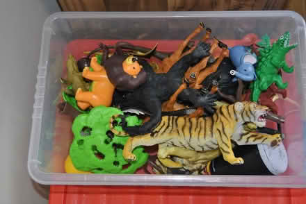 Photo of free childrens toys (danbury CM3) #4