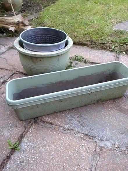 Photo of free 4x plant pots (Spital CH63) #1