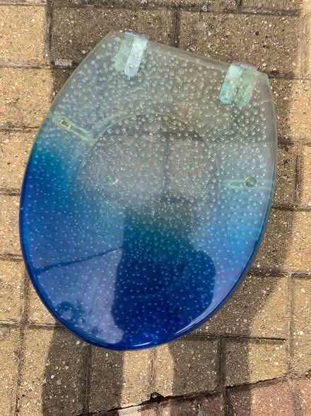 Photo of free toilet seat (Bracknell RG12) #1