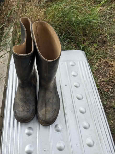 Photo of free welly boots (Marshalswick AL4) #1