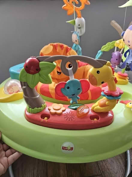 Photo of free Fishprice bouncer (TW4) #4