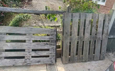 Photo of free Pallets (Horsham) #1