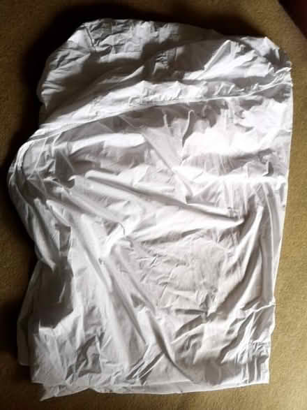 Photo of free King size fitted sheet (Joppa EH15) #1
