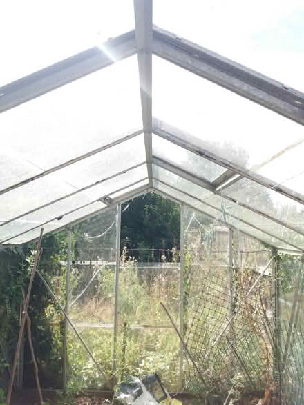 Photo of free Greenhouse (Rockland St Mary, NR14) #2