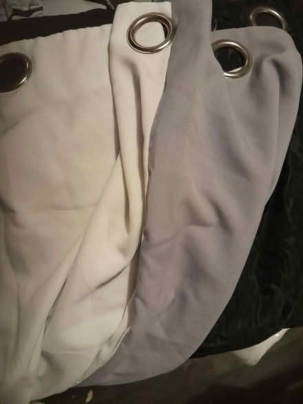 Photo of free Curtains (Canford Heath, BH17 8) #1