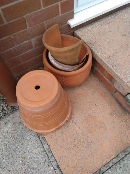 Photo of free Plantpots (Longton PR4) #1