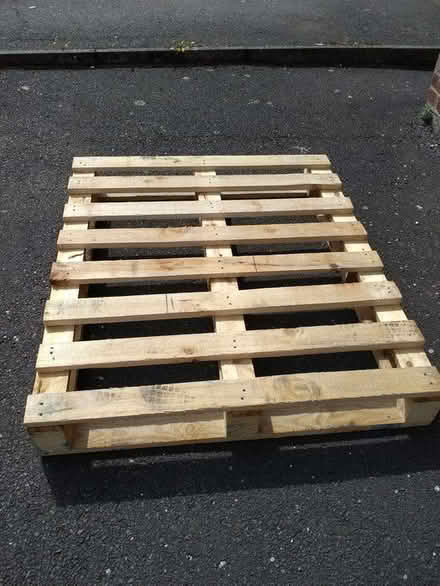 Photo of free Pallet (Stotfold SG5) #1