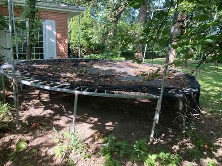 Photo of free Trampoline (Oak Brook) #2
