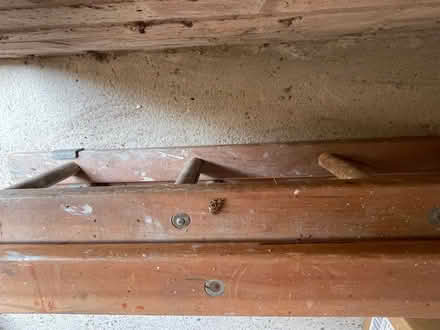 Photo of free Vintage wooden extending ladder (Leamington Spa, CV32) #4