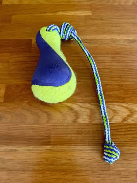 Photo of free Dog toy Kong AirDog on a rope (Hovingham YO62) #1