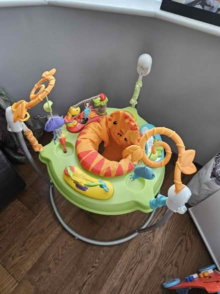 Photo of free Fishprice bouncer (TW4) #2