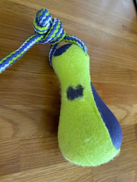 Photo of free Dog toy Kong AirDog on a rope (Hovingham YO62) #2