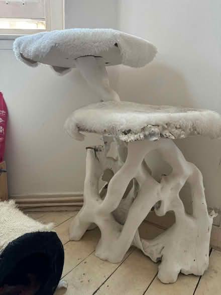 Photo of free Cat tree (Camberwell SE5) #1