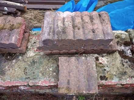 Photo of free garden edging (Stockport SK4) #2