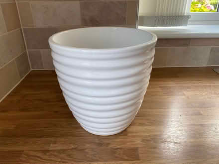 Photo of free Large Indoor White Plant Pot (Bassingham LN5) #1