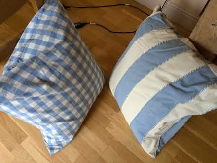 Photo of free 2 x feather floor cushions with removable covers (Hilperton BA14) #4
