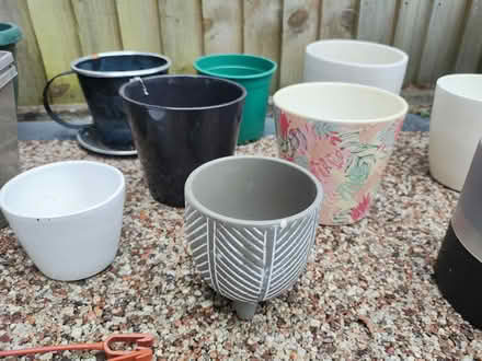 Photo of free Various Garden Plant Pots (North Baddesley) #3
