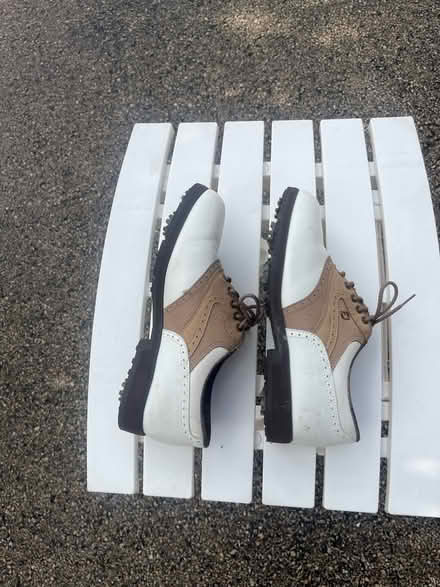 Photo of free Ladies golf shoes (Near Busse and Golf) #2