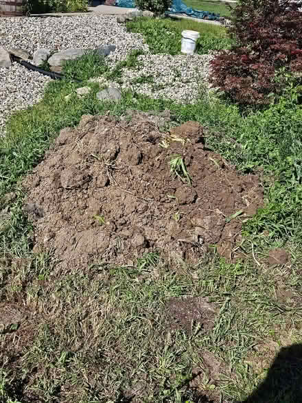 Photo of free Dirt pile (SW Allen County) #1