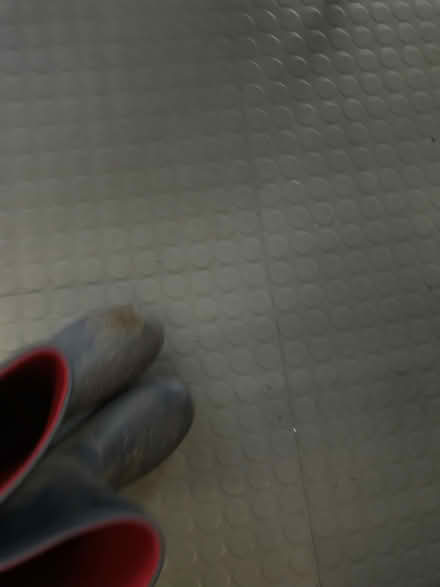 Photo of free Size 6 wellies (Fitzrovia, W1W) #3