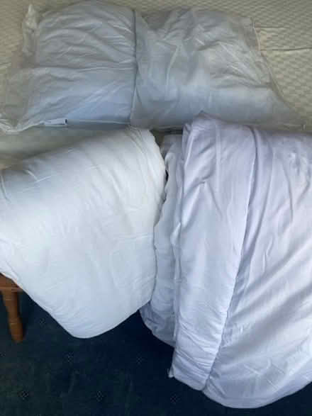 Photo of free 2 Pillows & 2 Duvets (Urmston M41) #1