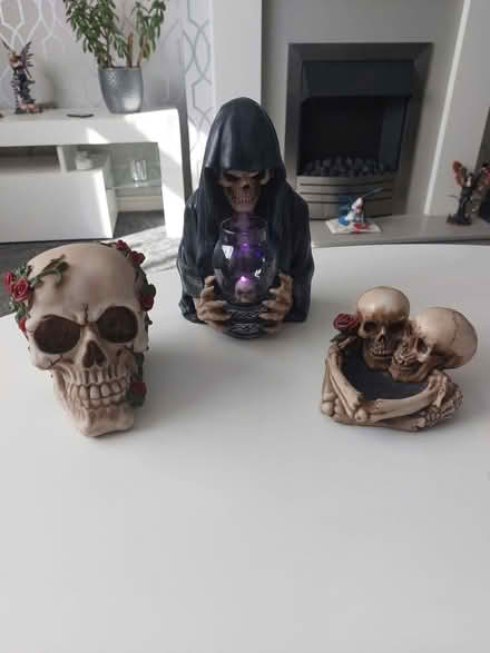 Photo of free Skulls (DE22 mackworth) #1