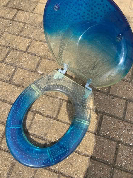 Photo of free toilet seat (Bracknell RG12) #2