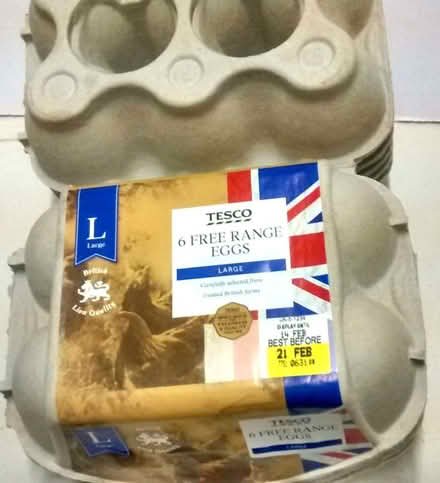 Photo of free 30+ Egg Boxes (6 per box size) (Blofield Heath NR13) #4