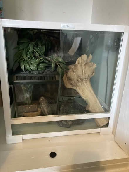 Photo of free Terrarium for small/medium reptile (Frome/Egford) #1