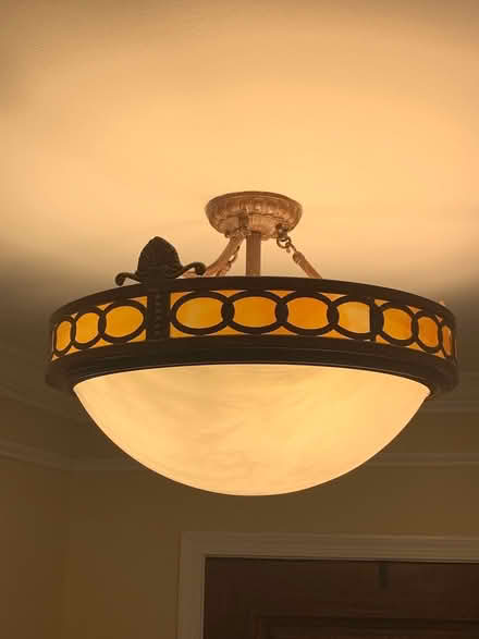 Photo of free Lamp/Chandelier (Vienna) #2