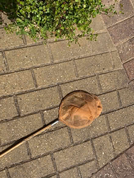 Photo of free single fishing net (Bracknell RG12) #1