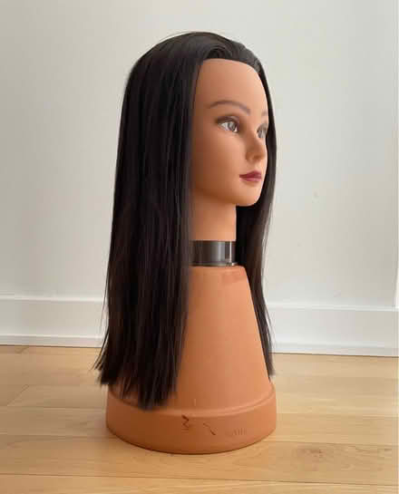 Photo of free Mannequin/Practice Head synth Hair (Gtown + Clopper & Richter Farm) #1