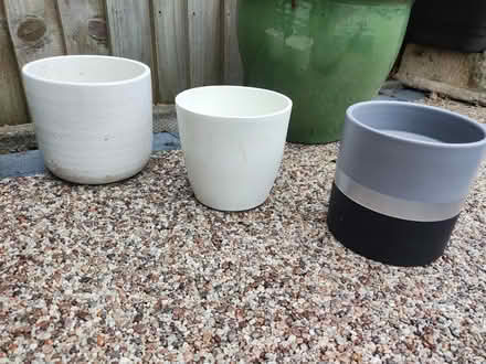 Photo of free Various Garden Plant Pots (North Baddesley) #4