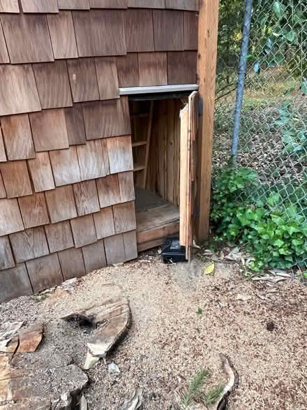Photo of free Play house (Port land) #3