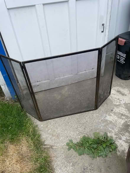 Photo of free Fireplace screen (Phinney Ridge) #2