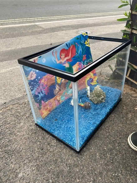 Photo of free Fish tank (Alstone GL51) #1