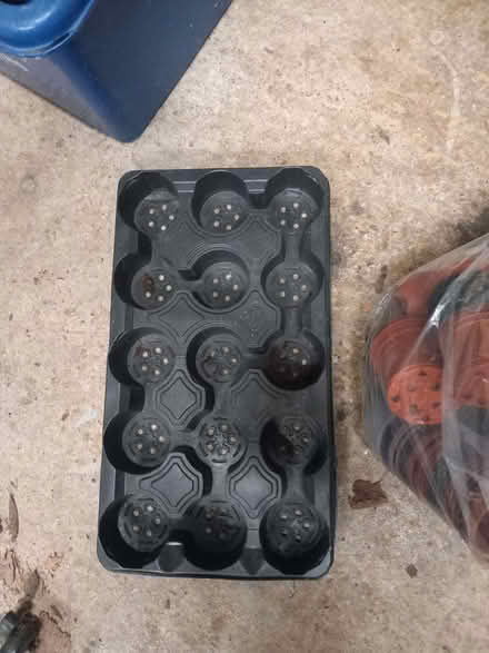 Photo of free Pots (Broadwater SG2) #3