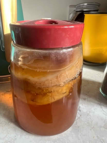 Photo of free Kombucha (Netherfield, Battle) #1
