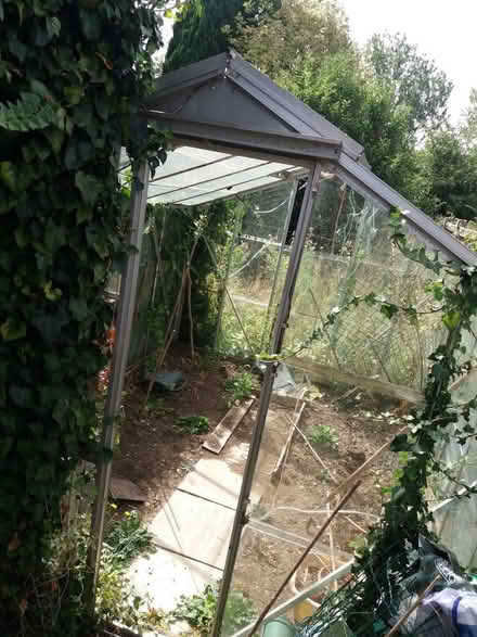 Photo of free Greenhouse (Rockland St Mary, NR14) #1