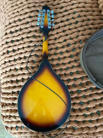 Photo of free Savannah mandolin (Poughkeepsie) #2