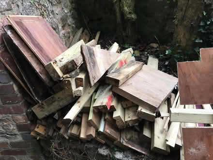 Photo of free Lots of Wood Various Sizes (Torquay) #2