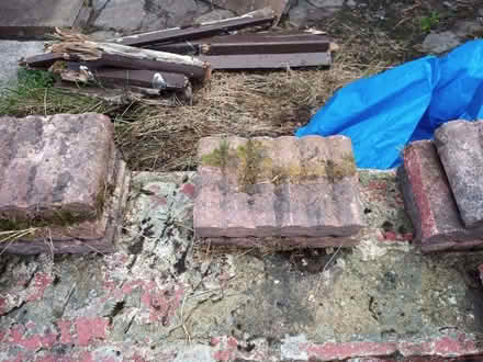 Photo of free garden edging (Stockport SK4) #3