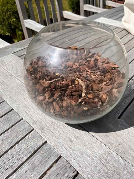 Photo of free Glass round Orchid bowl (Hales Bridge RH5) #1