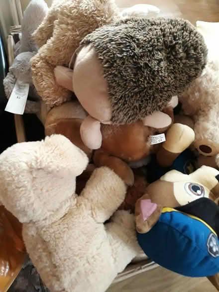 Photo of free Lots of soft toys (Bedford MK40) #1