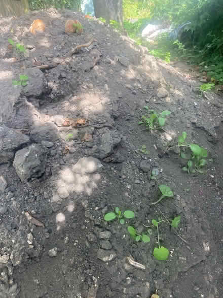 Photo of free Top soil (BA2) #1