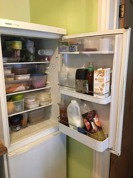 Photo of free Fridge-Freezer Bosch Classic XX (Torquay) #4