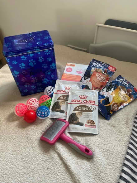 Photo of free Cat bits and pieces (Edinburgh, Corstorphine) #1