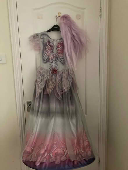 Photo of free Zombie princess costume (Sevenoaks (near station)) #1