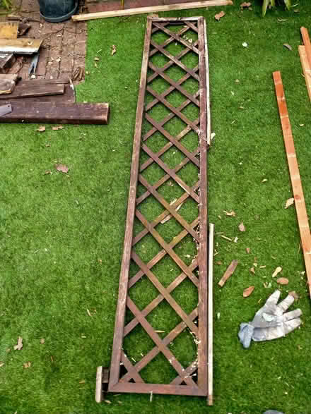 Photo of free Fence trellis (Ealing W13) #1