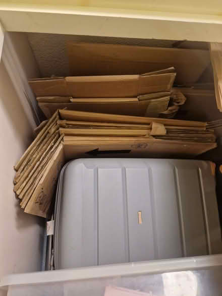 Photo of free Moving boxes (Elizabeth Gate TW8) #1